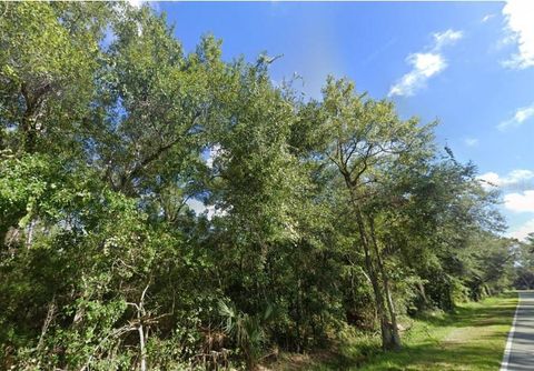 000 OLD KISSIMMEE ROAD DAVENPORT FL 33896