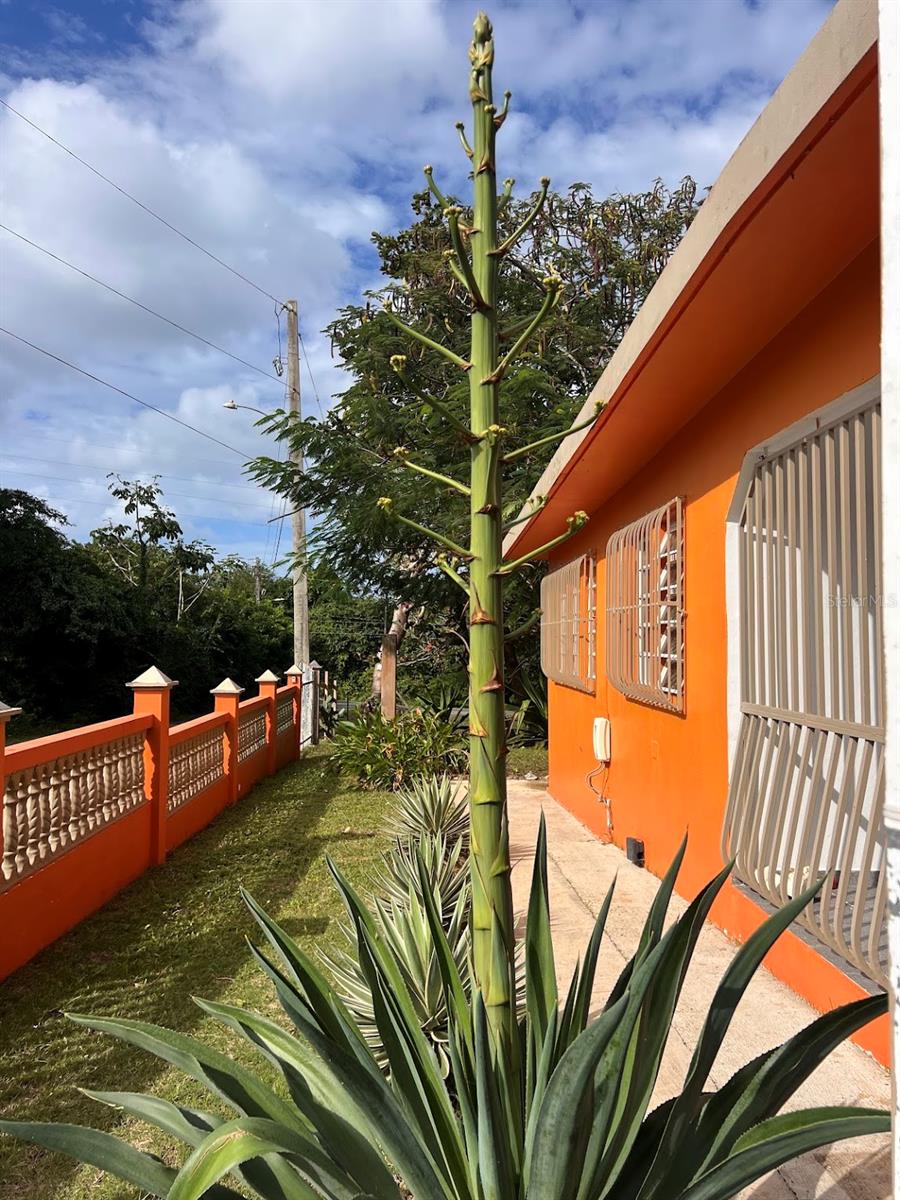 FLORIDA - Residential