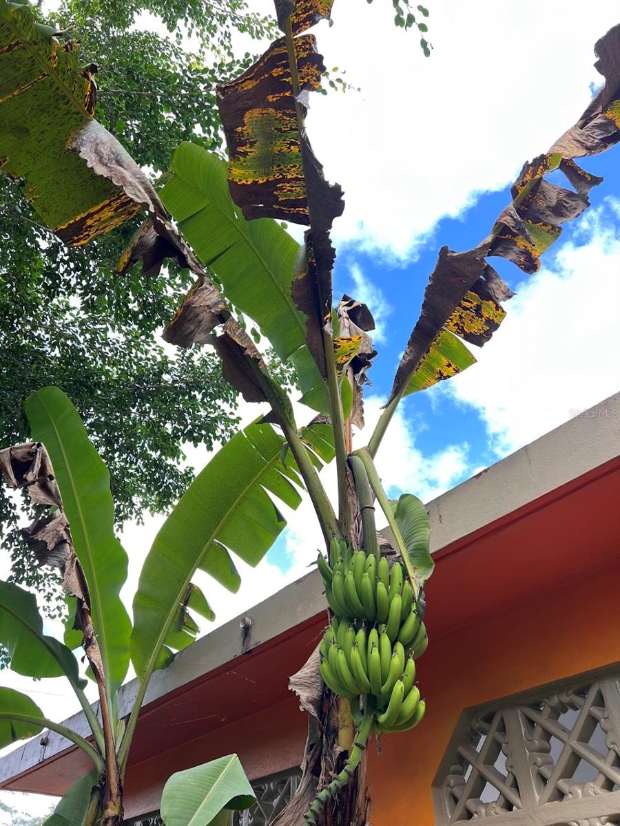 FLORIDA - Residential