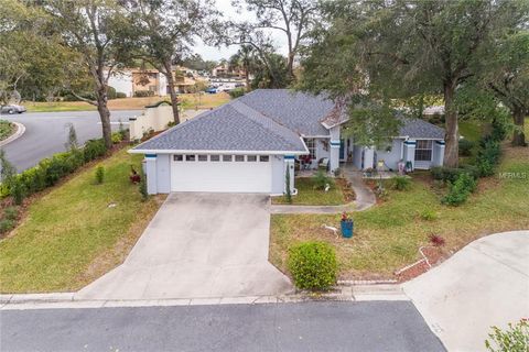 A home in MOUNT DORA