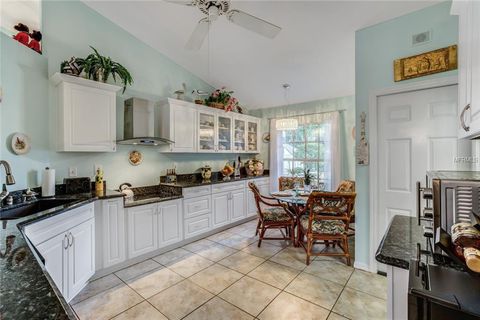 A home in MOUNT DORA