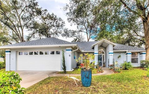 A home in MOUNT DORA