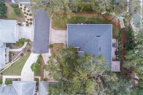 A home in MOUNT DORA