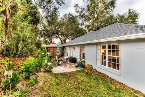 A home in MOUNT DORA