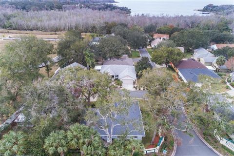 A home in MOUNT DORA