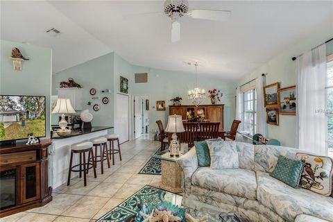 A home in MOUNT DORA