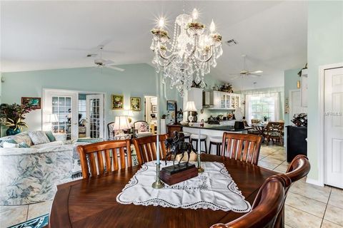 A home in MOUNT DORA