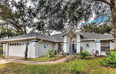 A home in MOUNT DORA