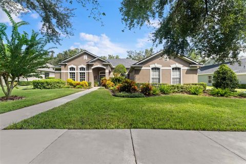 A home in LITHIA