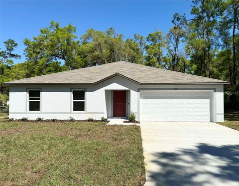 Photo of 3125 E Michael Street, Inverness, FL 34453 (MLS # O6358381)
