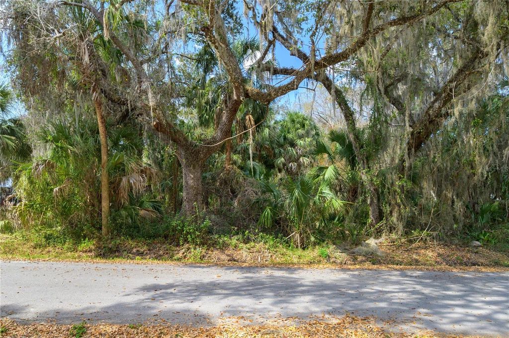 Photo of 00 W Beach Parkway #0, Lake Wales, FL 33898 (MLS # P4937981)