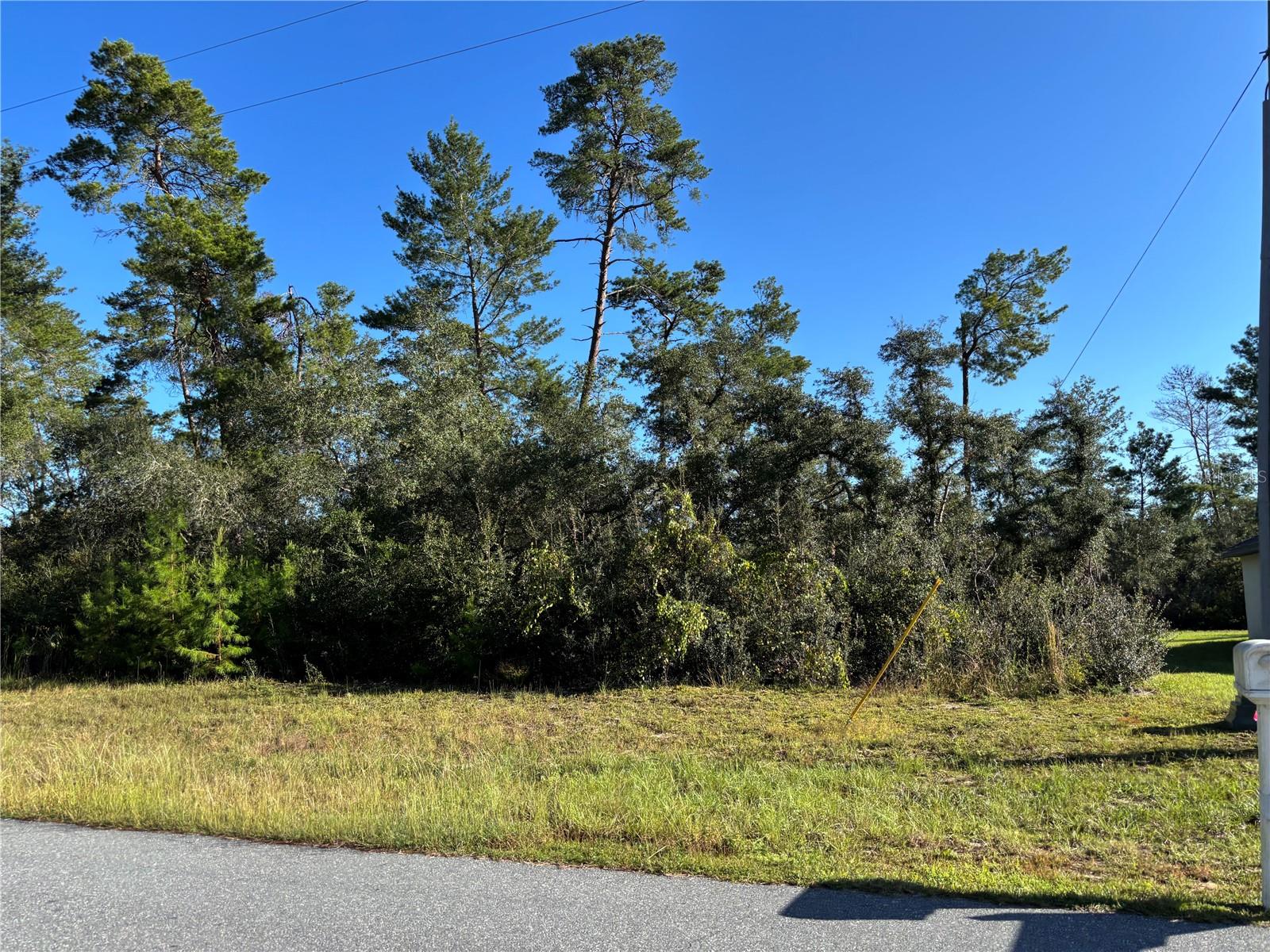 MARION OAKS UN FOUR - Land