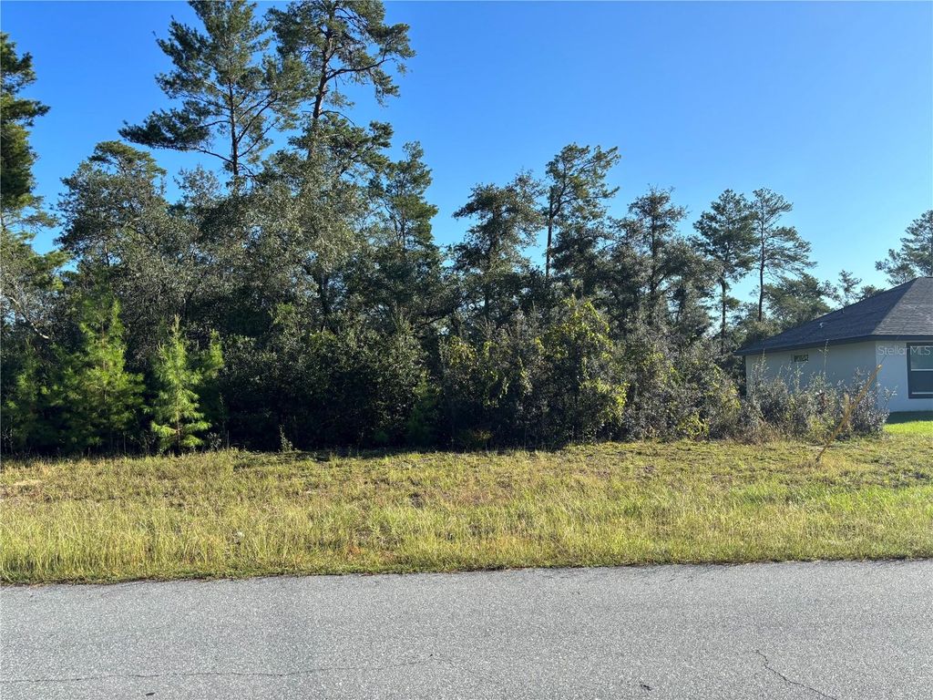 Photo of SW 23 Avenue Road, Ocala, FL 34473 (MLS # OM711983)