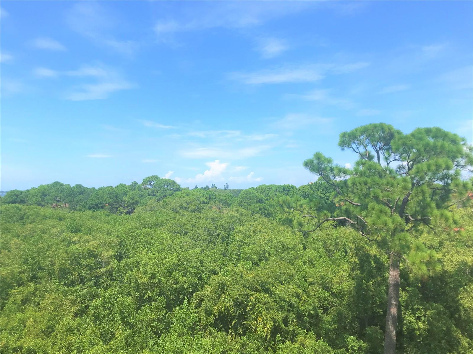 PALMA SOLA BAY CLUB PH 12 - Residential Lease