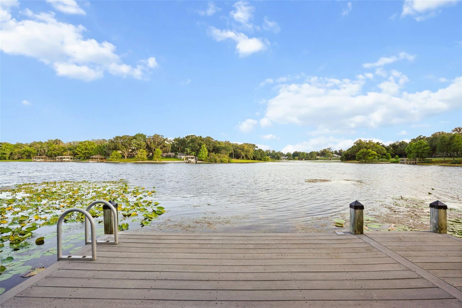 LAKE SYBELIA SHORES - Residential