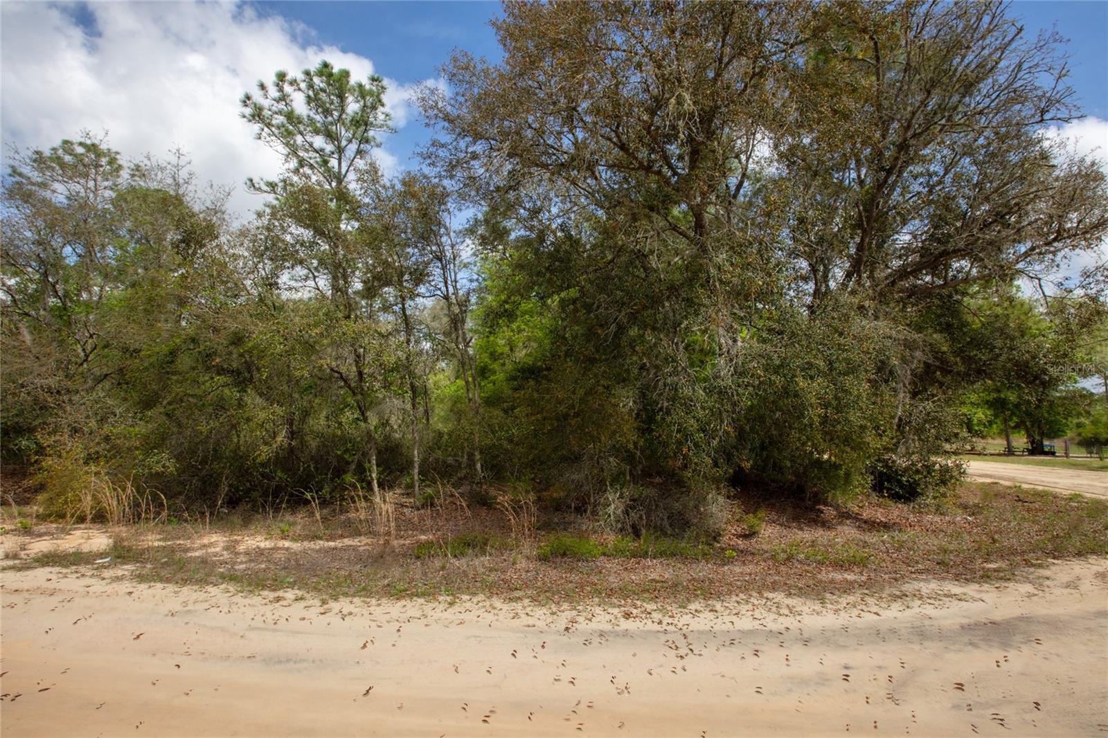 BIG TREE LAKES SEC C - Land