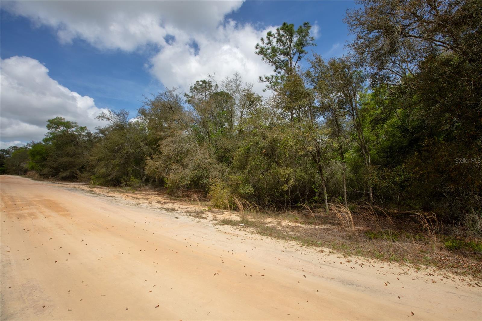 BIG TREE LAKES SEC C - Land