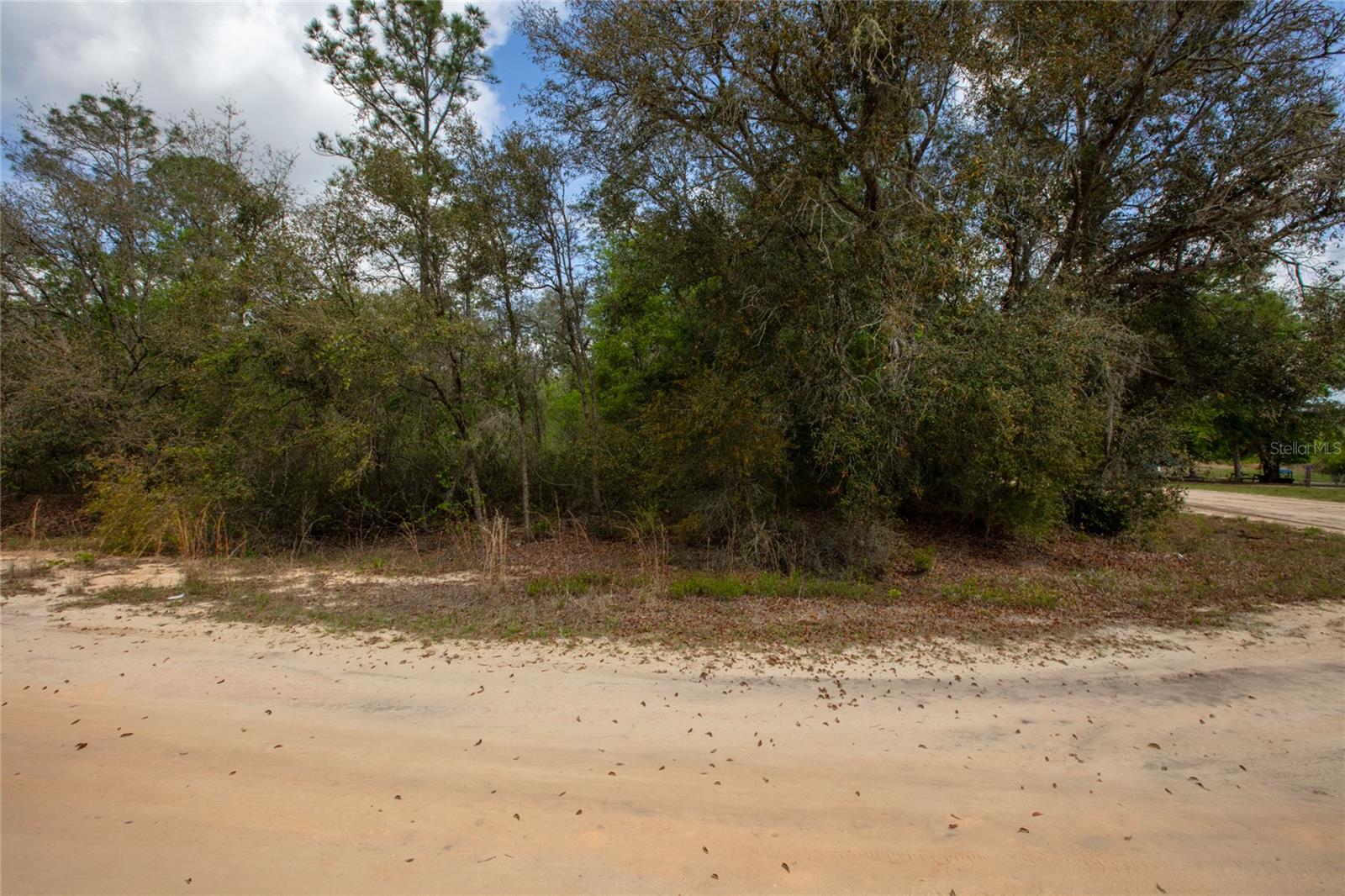 BIG TREE LAKES SEC C - Land