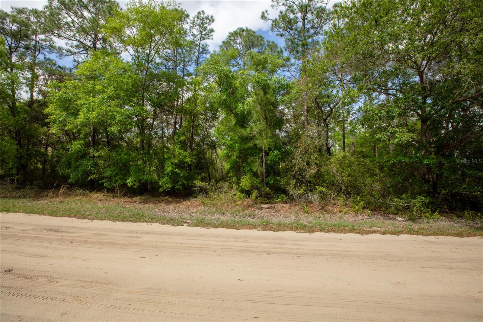 BIG TREE LAKES SEC C - Land