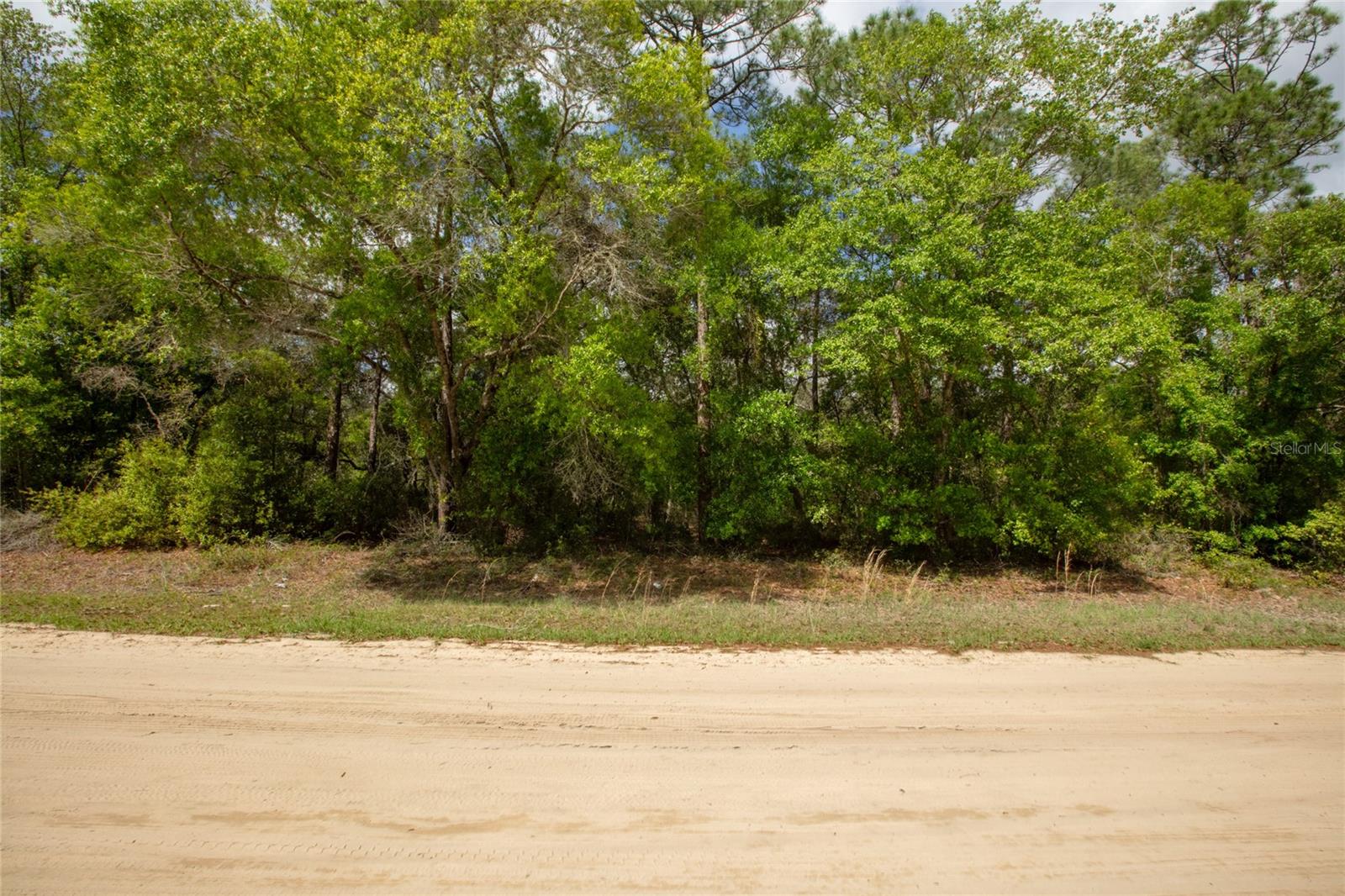 BIG TREE LAKES SEC C - Land