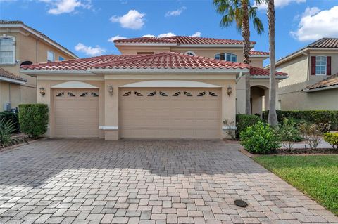 18014 COZUMEL ISLE DRIVE TAMPA FL 33647
