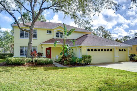 A home in VALRICO