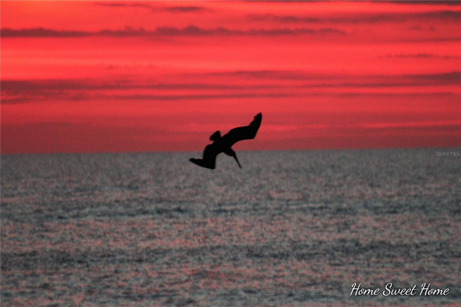 OCEANS ONE - Residential