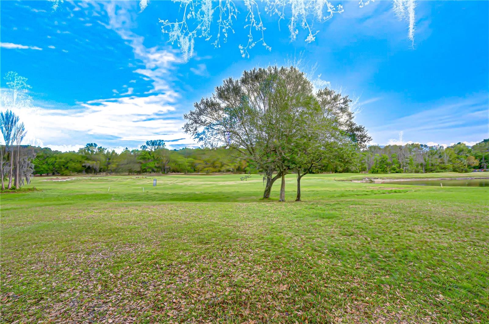 CRESCENT OAKS COUNTRY CLUB REGENCY PH 2 - Residential