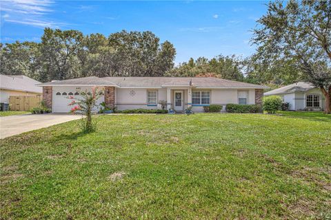Photo of 645 SE 56th Avenue, Ocala, FL 34480 (MLS # OM719353)