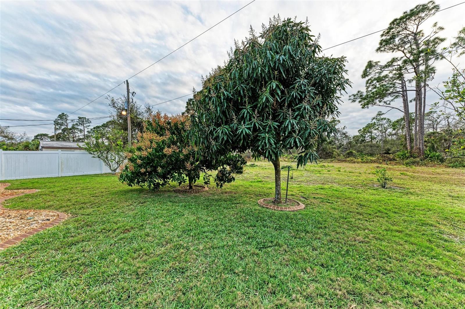 PORT CHARLOTTE SEC 41 - Residential