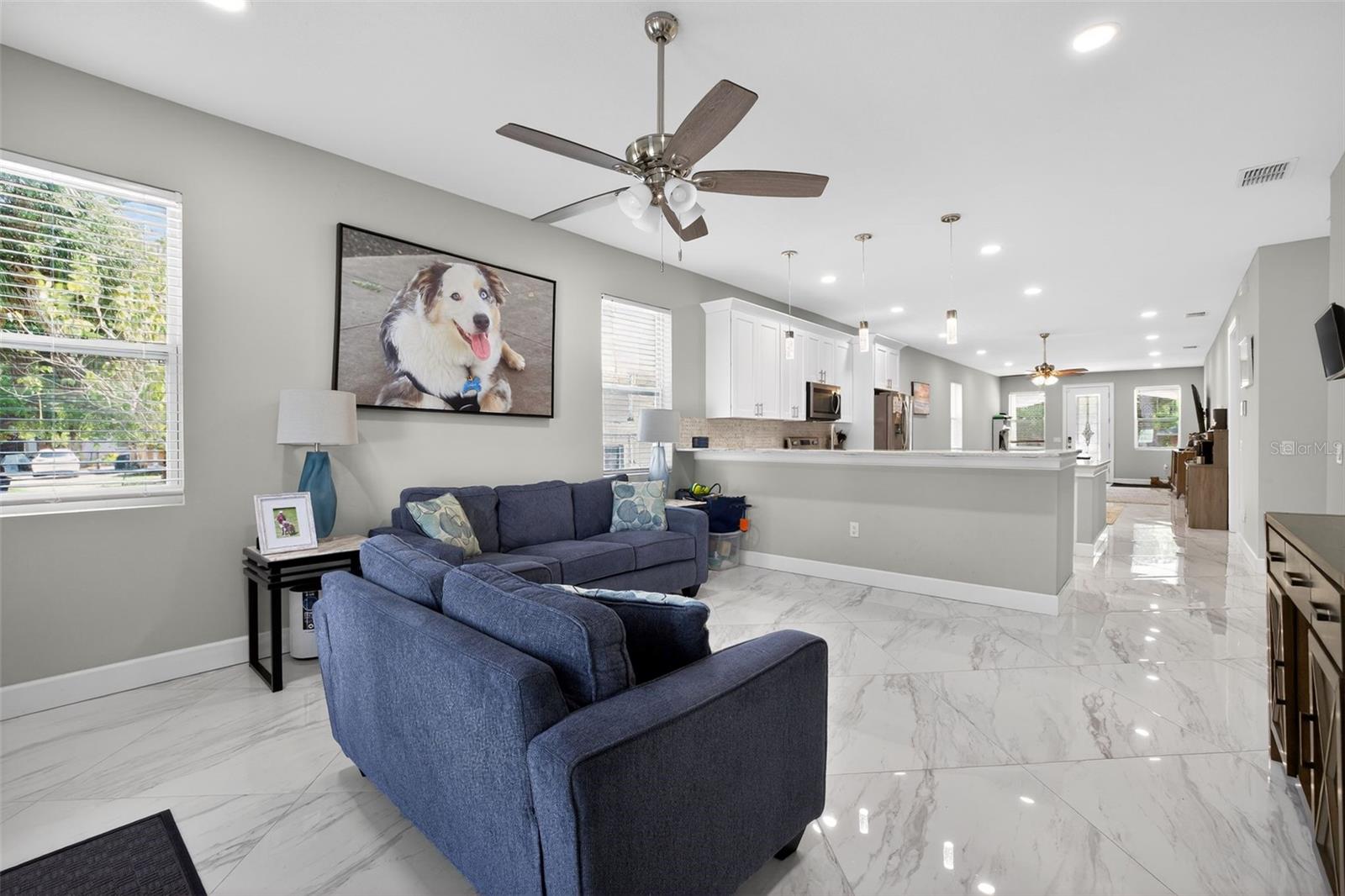 PALLANZA PARK REP - Residential