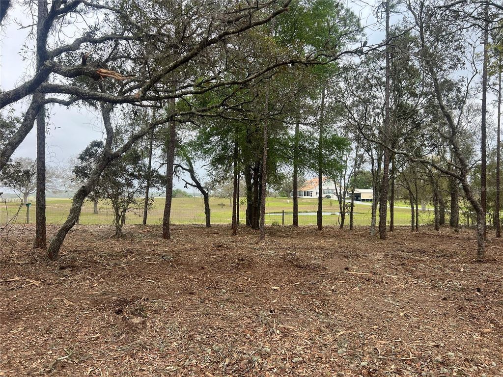 Photo of 25 SW Timberlake Road, Dunnellon, FL 34431 (MLS # OM721362)