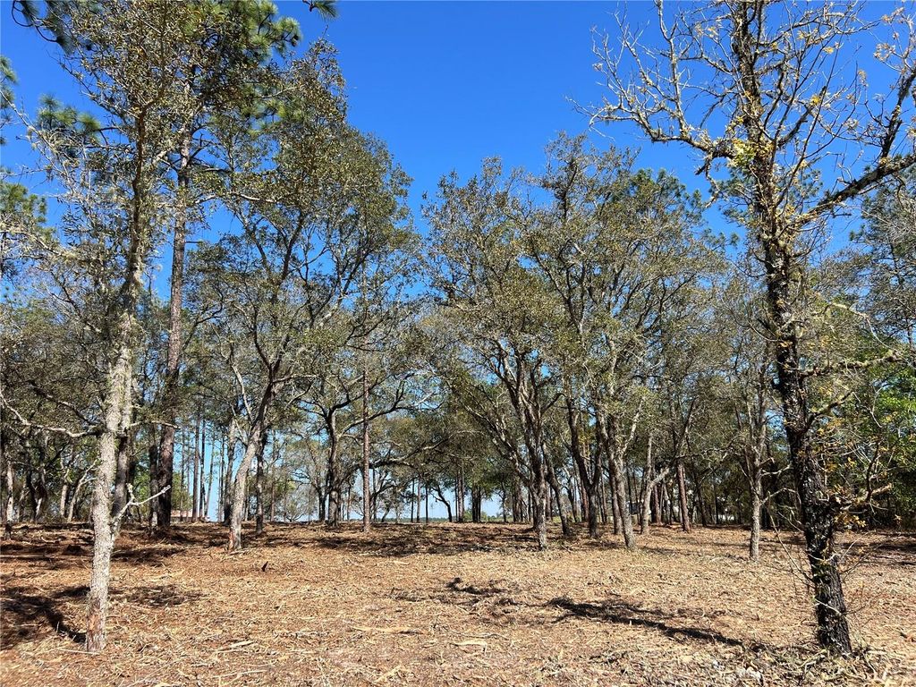 Photo of 25 SW Timberlake Road, Dunnellon, FL 34431 (MLS # OM721362)