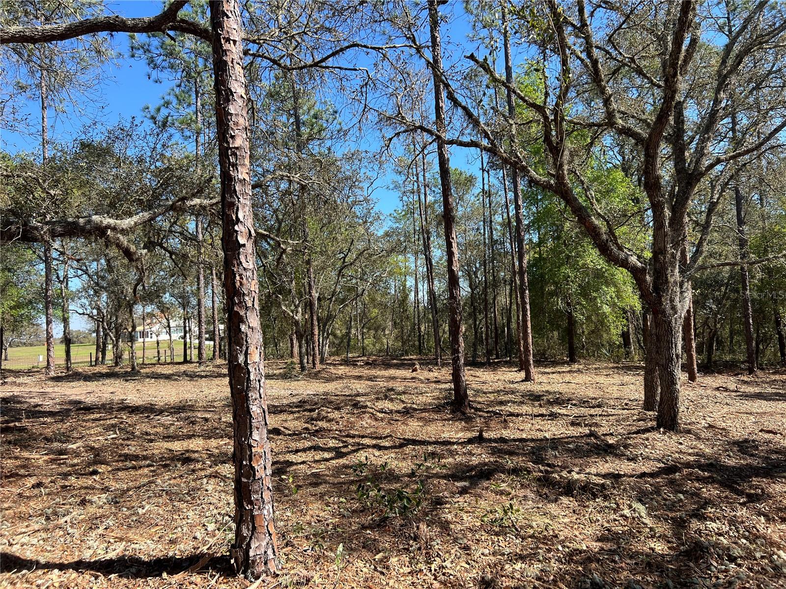 RAINBOW LAKES ESTATES - Land