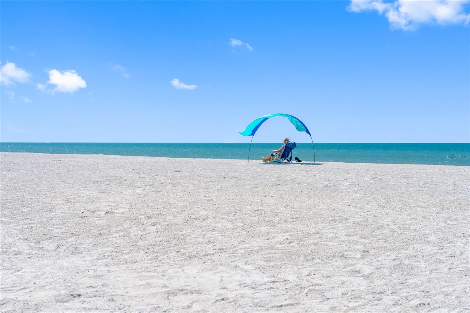 GULF BELLEAIR BEACH CONDO - Residential