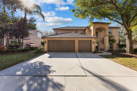 A home in TAMPA