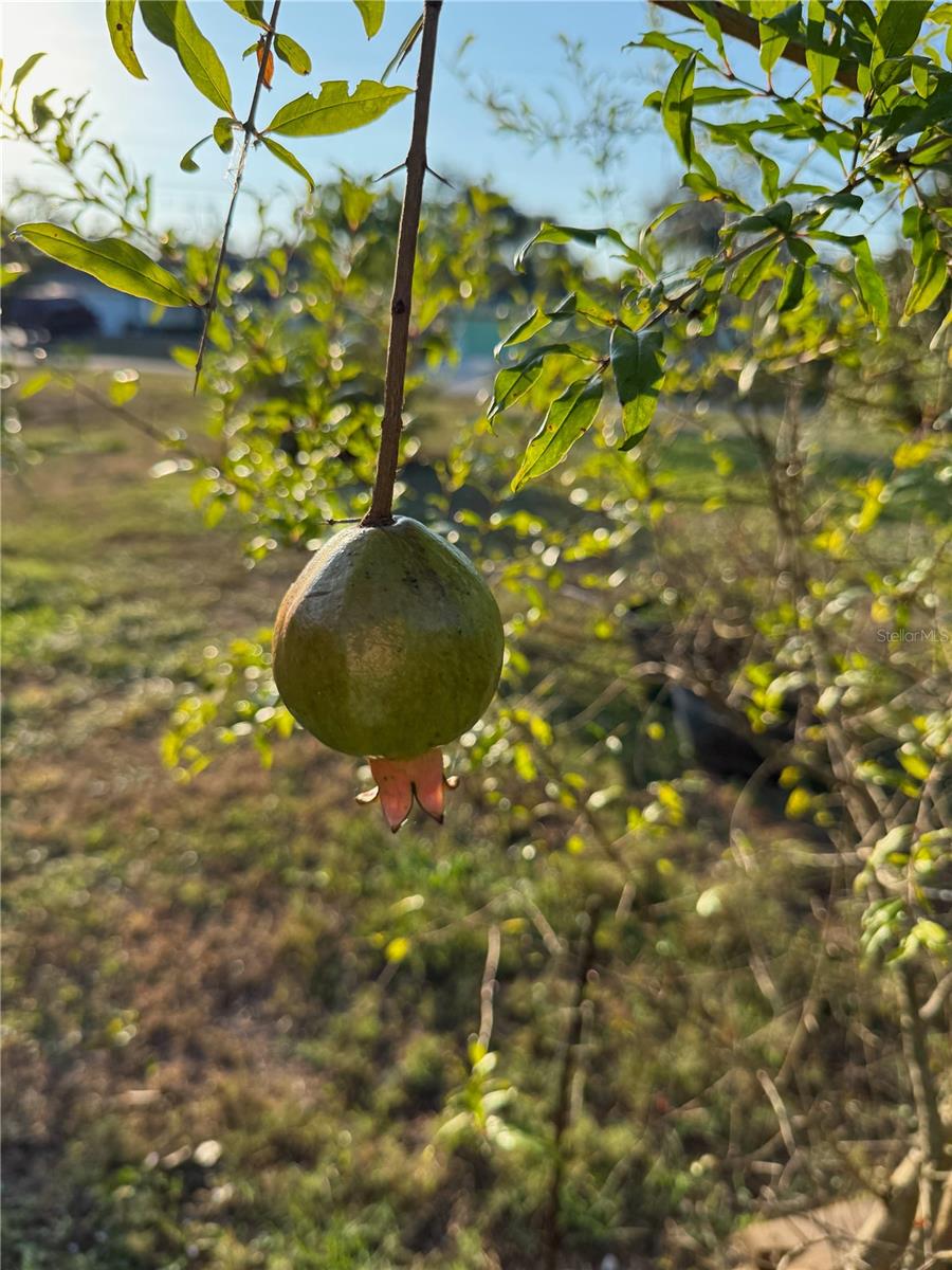 1629 - PORT CHARLOTTE SUB 39 REPLAT OF TRACT B - Residential