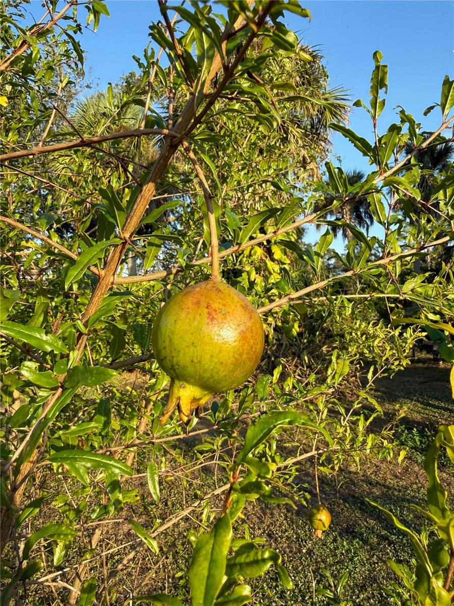 1629 - PORT CHARLOTTE SUB 39 REPLAT OF TRACT B - Residential