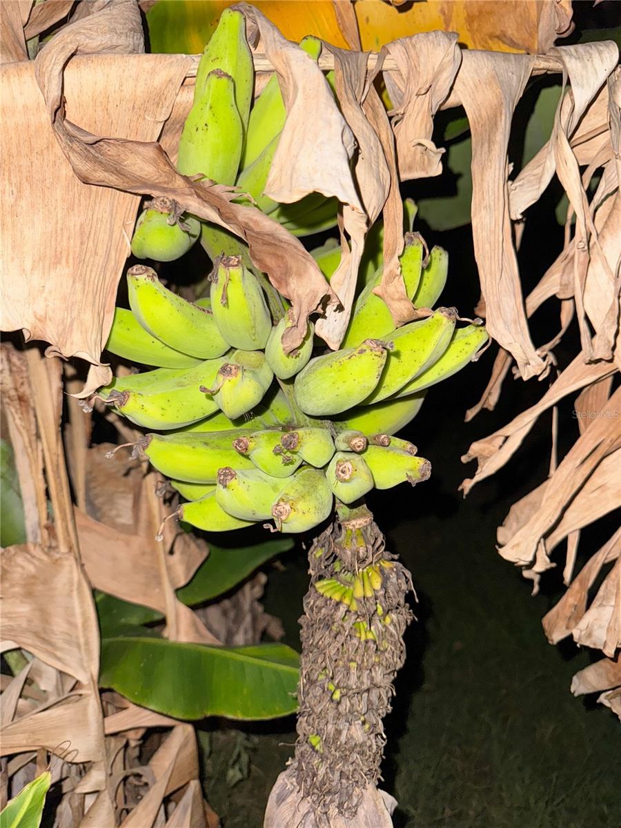 1629 - PORT CHARLOTTE SUB 39 REPLAT OF TRACT B - Residential