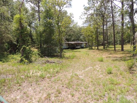 Photo of 250 NE 131st Avenue, Williston, FL 32696 (MLS # OM724134)