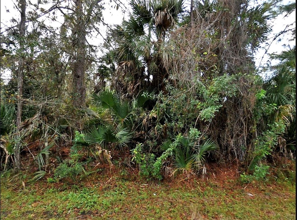 Photo of Thomas Lane, North Port, FL 34286 (MLS # C7516200)