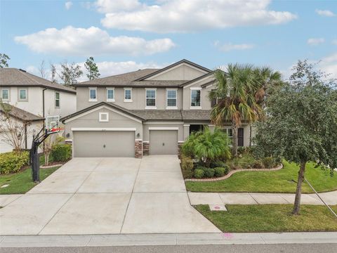 6634 DUTTON DRIVE WESLEY CHAPEL FL 33545