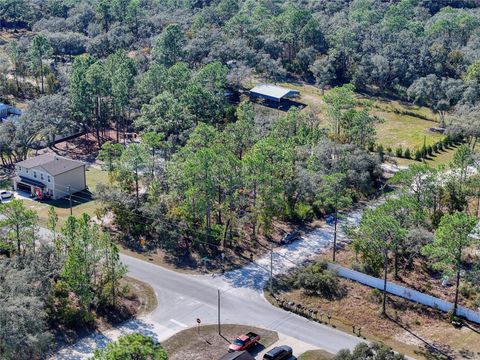 Photo of 10484 Snowbird Avenue, Weeki Wachee, FL 34614 (MLS # TB8439790)