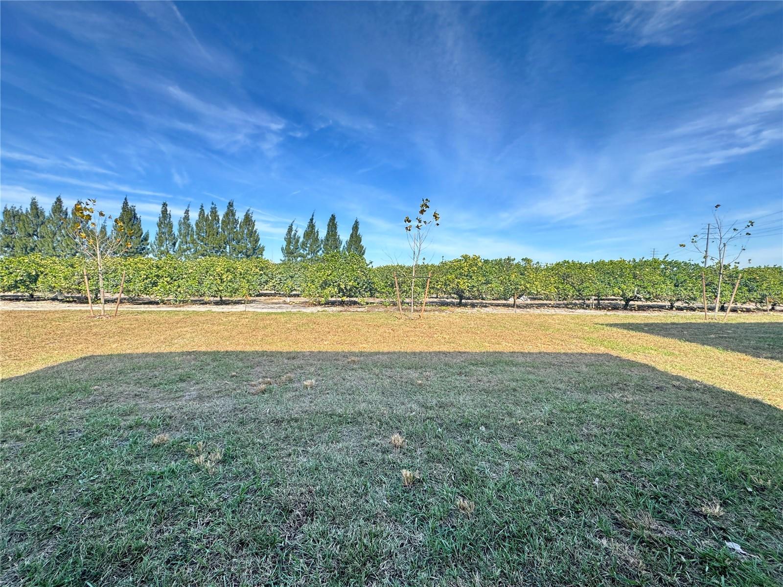 PEACE CRK RESERVE - Residential Lease