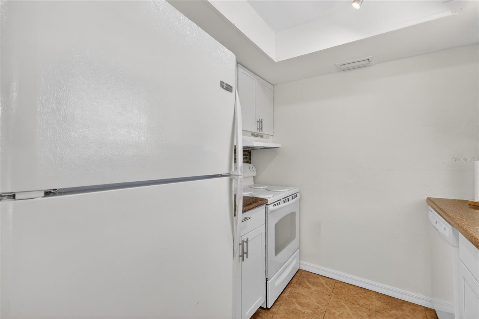 LEESBURG SPANISH OAKS CONDO - Residential