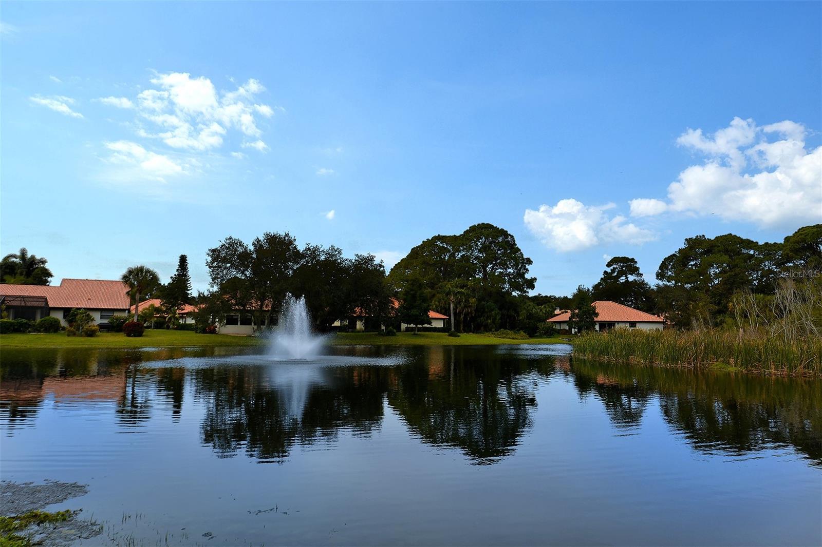 LAUREL HOLLOW - Residential