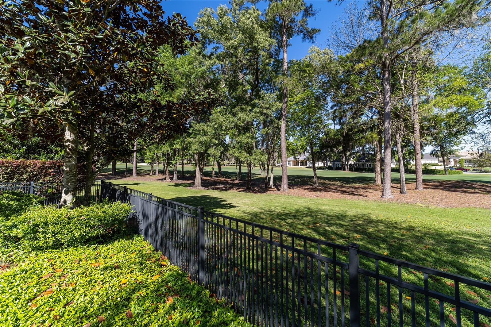 GOLDEN OCALA - Residential