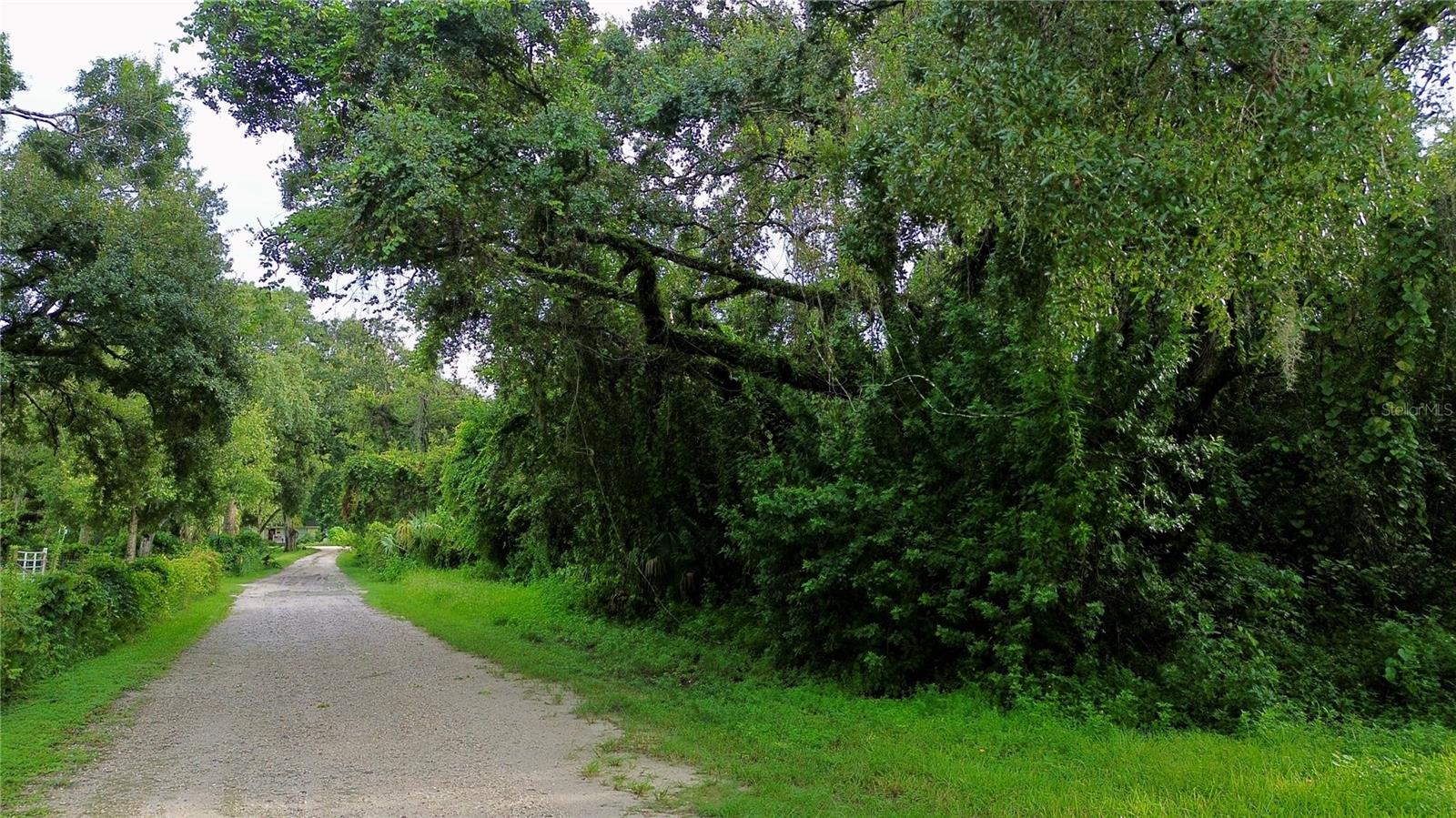 Build your dream home on this spacious 0.46-acre lot in the peaceful Lake Worrell Acres community of New Port Richey. Zoned R1MH, the property is ideal for a custom single-family home or manufactured home, with electricity and cable available nearby. Located in Flood Zone X (minimal flood risk), this high and dry lot offers plenty of space and privacy while still being close to shopping, dining, healthcare, and major roads for easy commuting.
Don’t miss the opportunity to claim your stake in a property that’s as practical as it is promising.