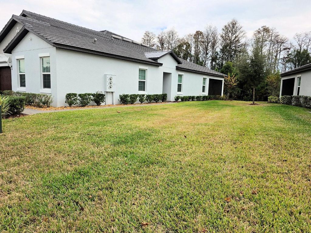 Photo of 16890 Forge Surf Street, Land O Lakes, FL 34638 (MLS # TB8462566)