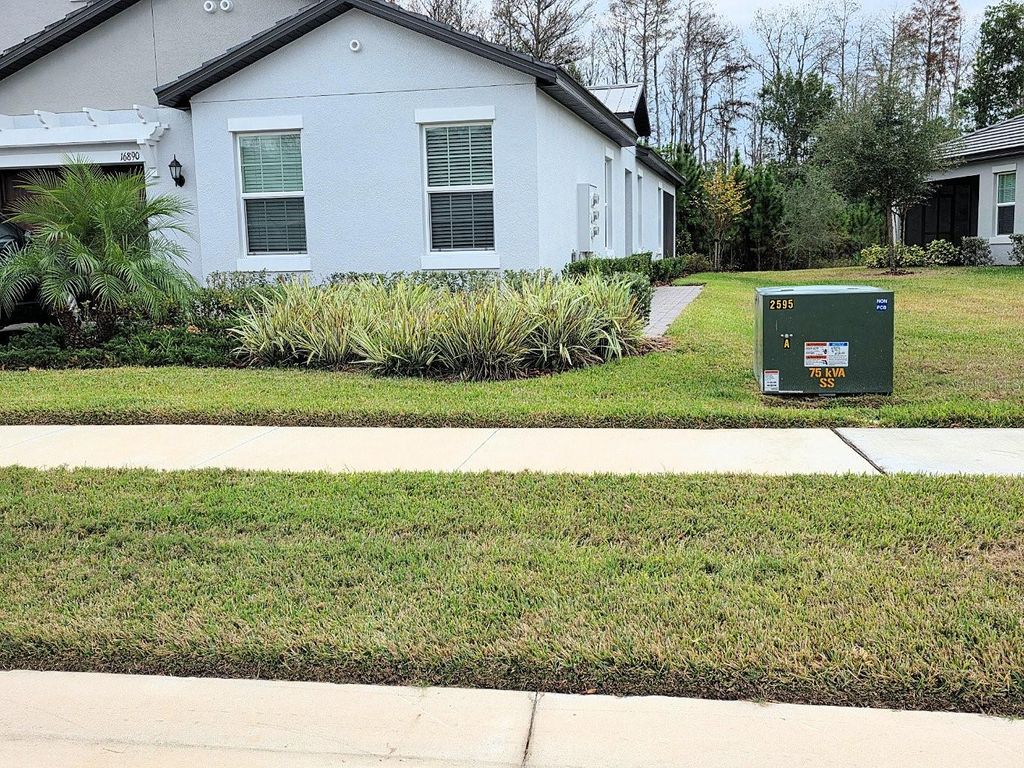 Photo of 16890 Forge Surf Street, Land O Lakes, FL 34638 (MLS # TB8462566)